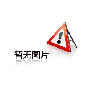 風險控制的IT運營和維護服務外包IT外包的基本階段