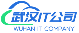 武漢深度動(dòng)力科技有限公司