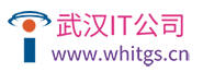 武漢深度動(dòng)力科技有限公司